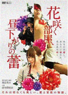 西瓜视频密室大逃脱